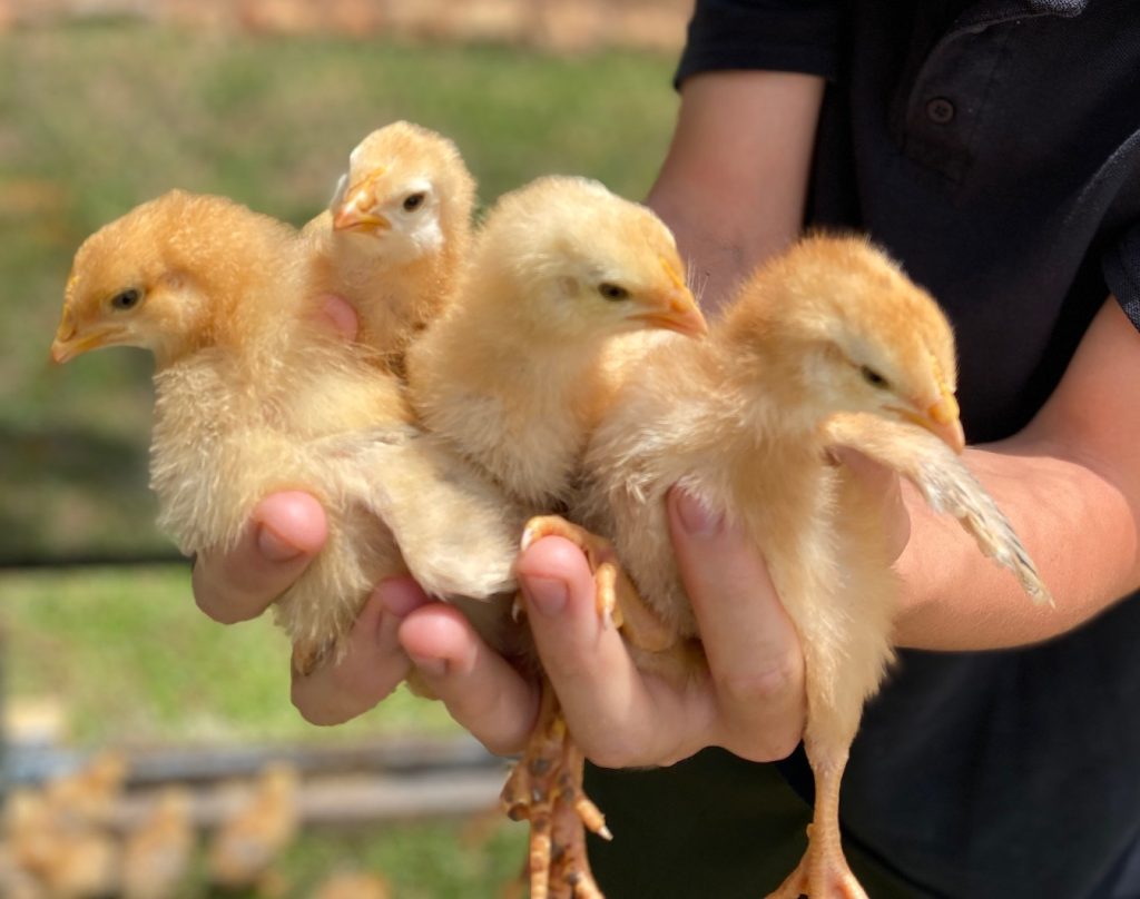 Boarding school for troubled boys